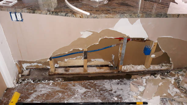 Best Professional water damage repair  in Sun City Center, FL