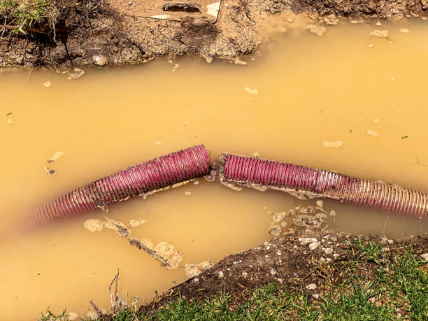  Sun City Center, FL Water damage restoration Pros