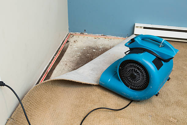 Best Ceiling water damage repair  in Sun City Center, FL